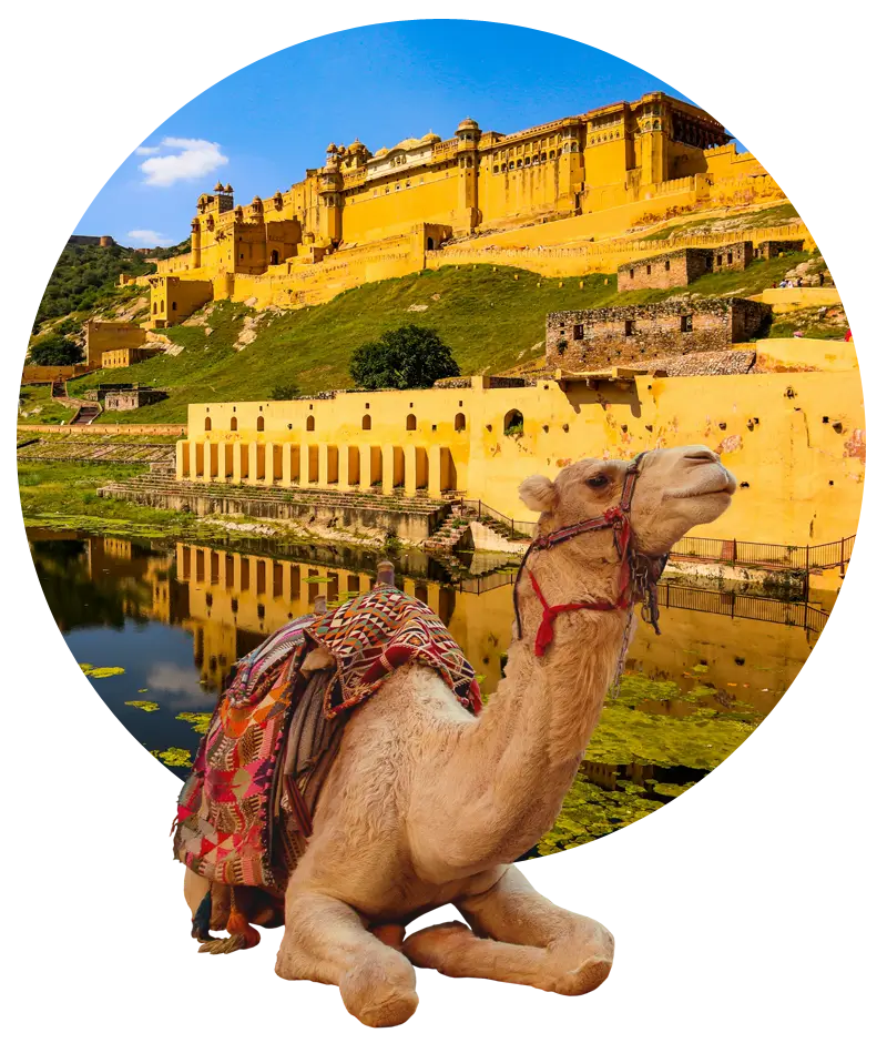 Best Tempo Traveller in Jaipur